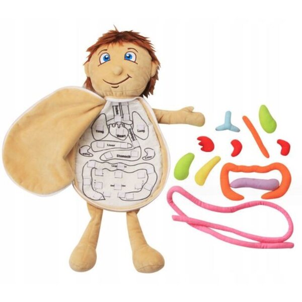 Bambola di pezza educativa Mr. and Mrs. Gadget 49 cm - modello anatomico per bambini