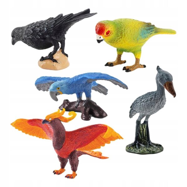 Set mit 5 pädagogisch realistischen PVC-Vogelmodellen für Kinder
