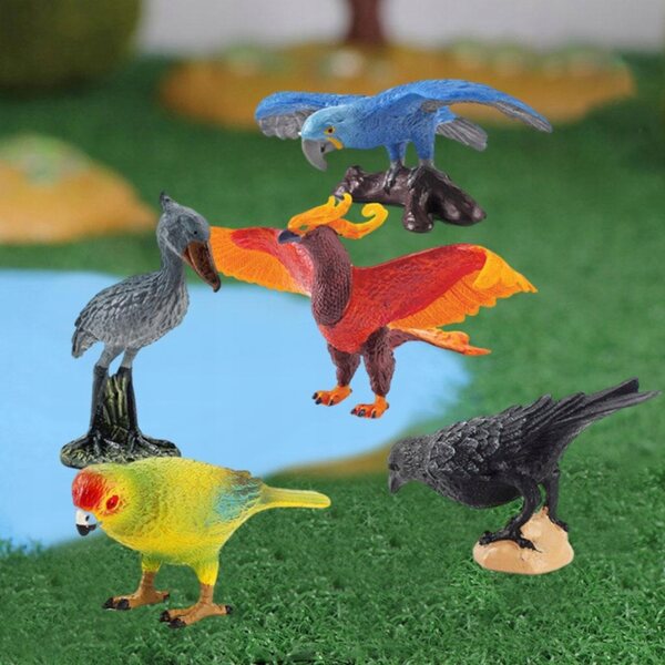Set mit 5 pädagogisch realistischen PVC-Vogelmodellen für Kinder