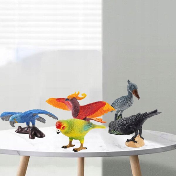 Set mit 5 pädagogisch realistischen PVC-Vogelmodellen für Kinder