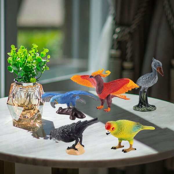 Set mit 5 pädagogisch realistischen PVC-Vogelmodellen für Kinder
