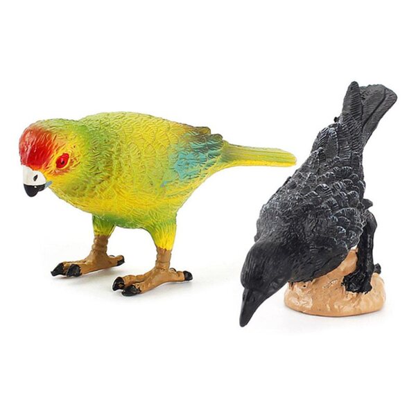 Set mit 5 pädagogisch realistischen PVC-Vogelmodellen für Kinder