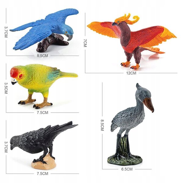 Set mit 5 pädagogisch realistischen PVC-Vogelmodellen für Kinder