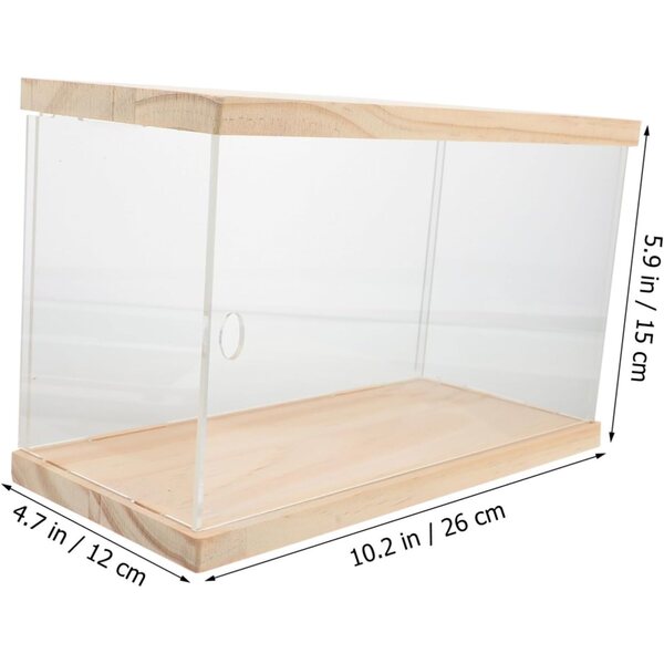 Toyvian Transparentes Acryl-Tischdisplay für Puppen und Automodelle