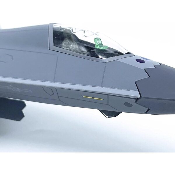 Jet J-50 China Shenyang 1:72 Jagdflugzeugmodell aus Legierung und PC mit Ausstellungsständer