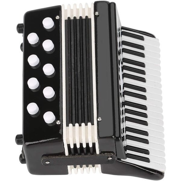 CHICIRIS Mini Fisarmonica Decorativa in Plastica e Metallo con Scatola Nera