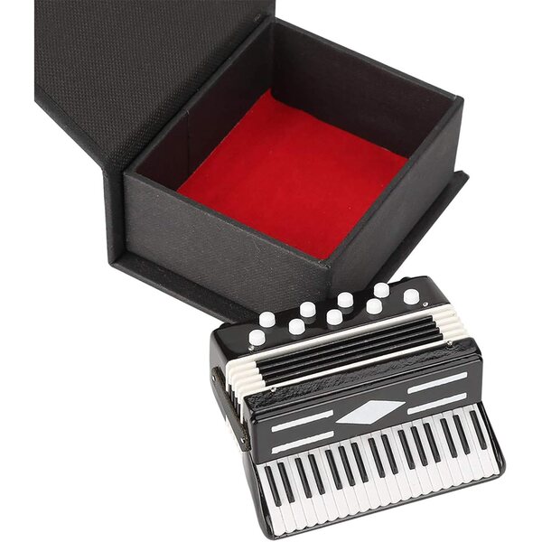 CHICIRIS Mini Fisarmonica Decorativa in Plastica e Metallo con Scatola Nera