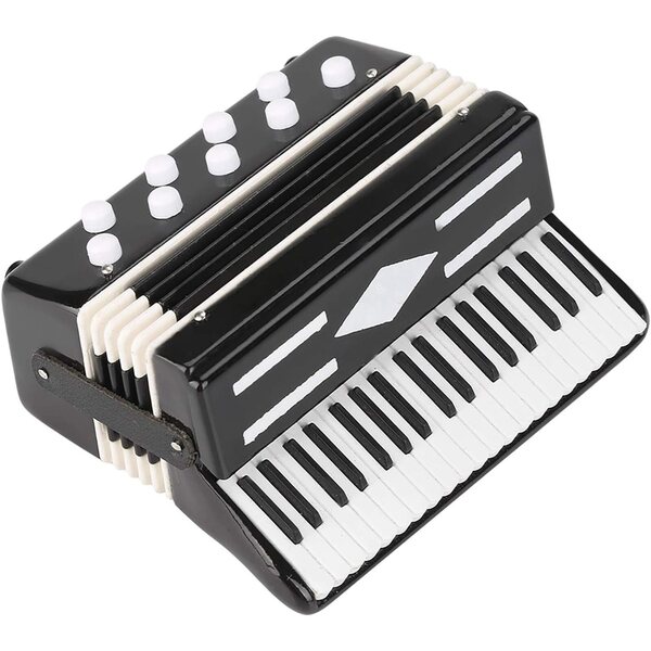 CHICIRIS Mini Fisarmonica Decorativa in Plastica e Metallo con Scatola Nera