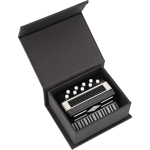 CHICIRIS Mini Fisarmonica Decorativa in Plastica e Metallo con Scatola Nera