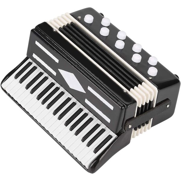 CHICIRIS Mini Fisarmonica Decorativa in Plastica e Metallo con Scatola Nera