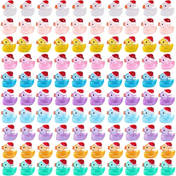 100 Mini Anatre in Resina Colorate per Decorazioni e Fai da Te, 10 Colori