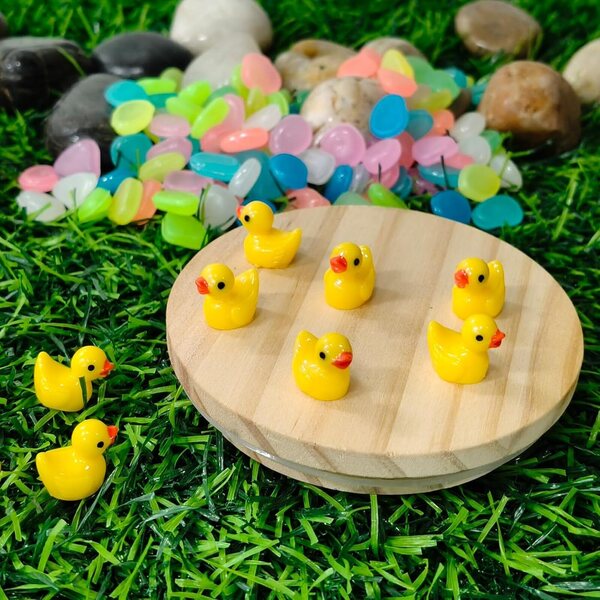 50 Mini Anatre in Resina per Decorazioni Casette Bambole, Giardini, Acquari