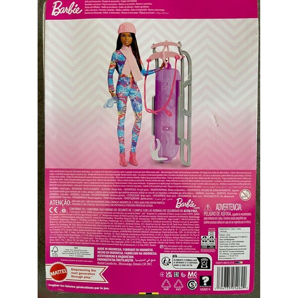 Mattel Barbie und ihr Trineo – Spiel für Mädchen mit lustiger Winter-Barbie