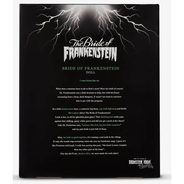 Monster High Skullector Frankenstein & Bride Set 10,5-Zoll-Puppen mit exklusiven Details
