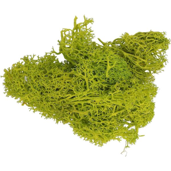 Hidyliu Gabbia per Uccelli in Miniatura Scala 1:12, Metallo e Plastica Realistica