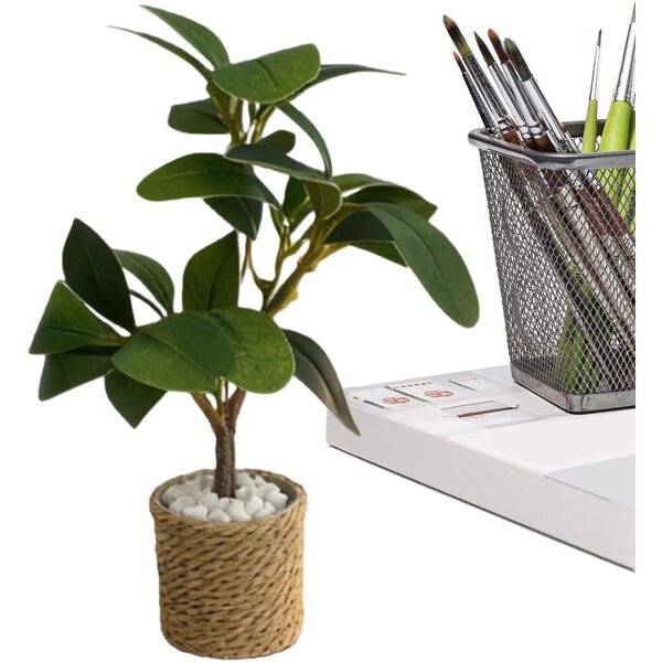 Piante in Miniatura 1:6 per Casa delle Bambole, Giardino Fatato e Decorazioni Varie