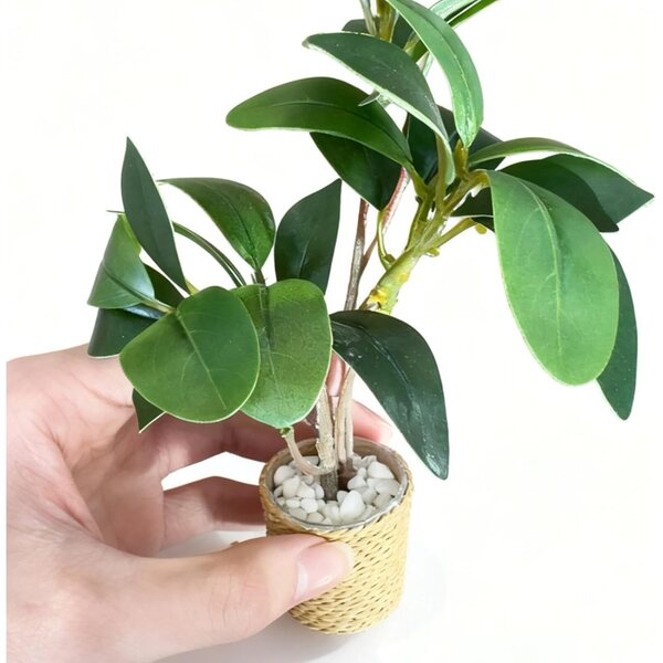 Piante in Miniatura 1:6 per Casa delle Bambole, Giardino Fatato e Decorazioni Varie