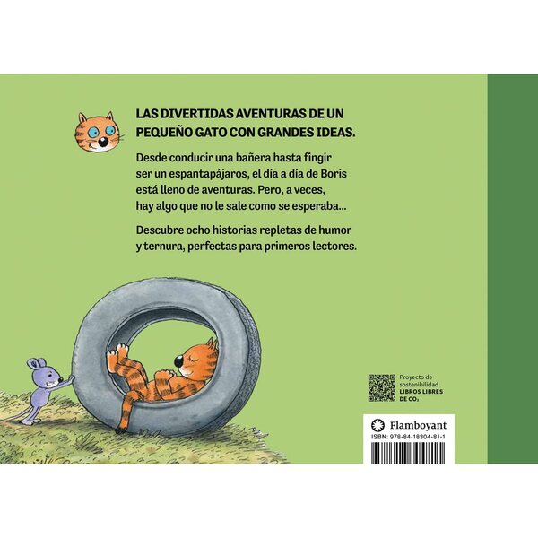 De auto in bad: 3 jaar lang een leuk avontuur met Boris de kat