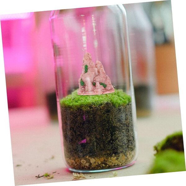 Hemobllo 4 Stück Miniaturfelsen für Bonsai und Gartendekoration, drinnen und draußen
