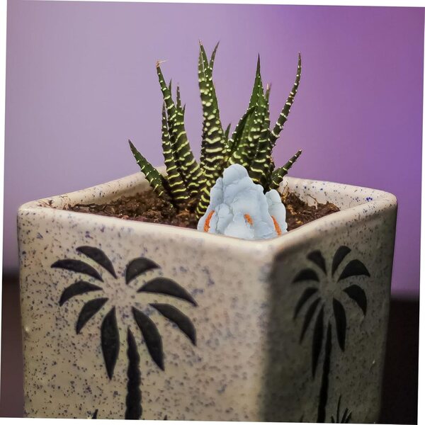 Hemobllo 4 Stück Miniaturfelsen für Bonsai und Gartendekoration, drinnen und draußen
