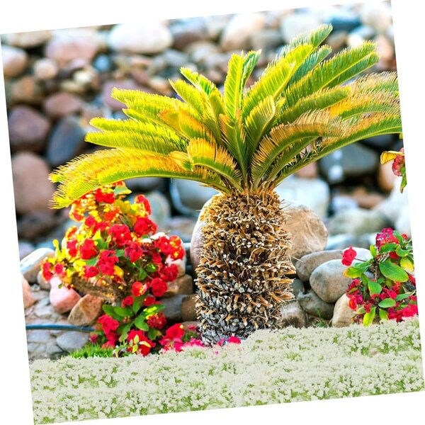 Mini-Rest aus Blumen und widerstandsfähigen Pflanzen für Mikrolandschaften und Modellierung