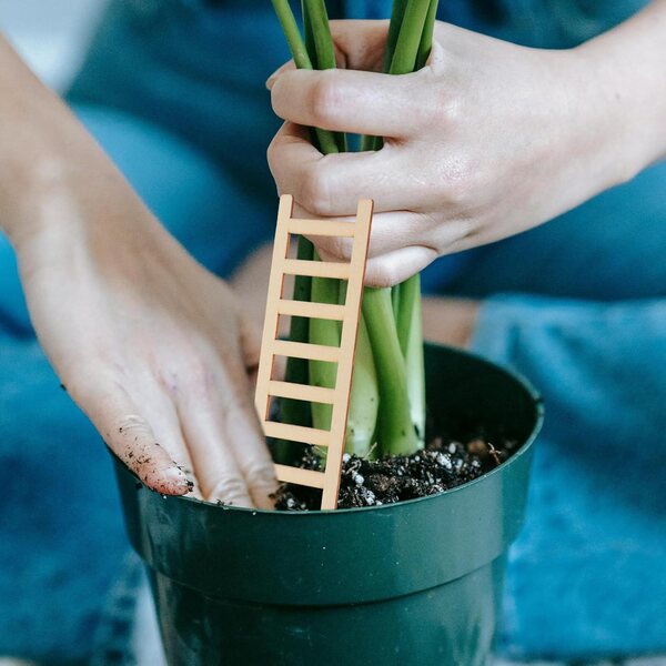 Mini dekorative Holzleiter für Puppenhaus und Gartenarbeit – 2 Stück