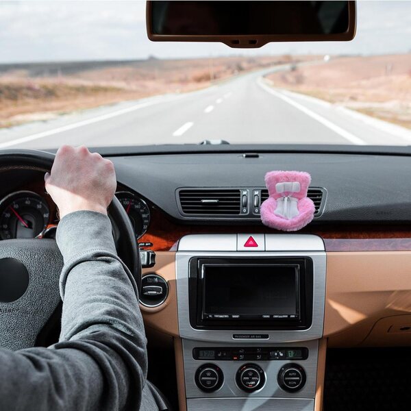 Pluche poppenautostoeltje met ventilatieclip, decoratief en veelzijdig