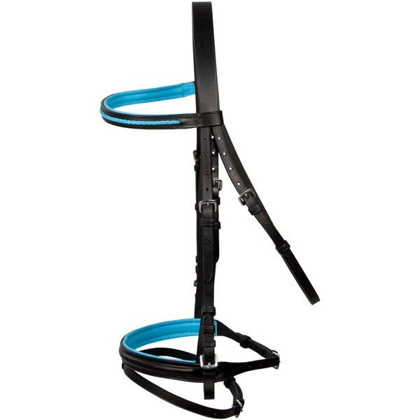 PFIFF Basicline Brida para Ponis Schwarz und Hellblau – Ponygröße