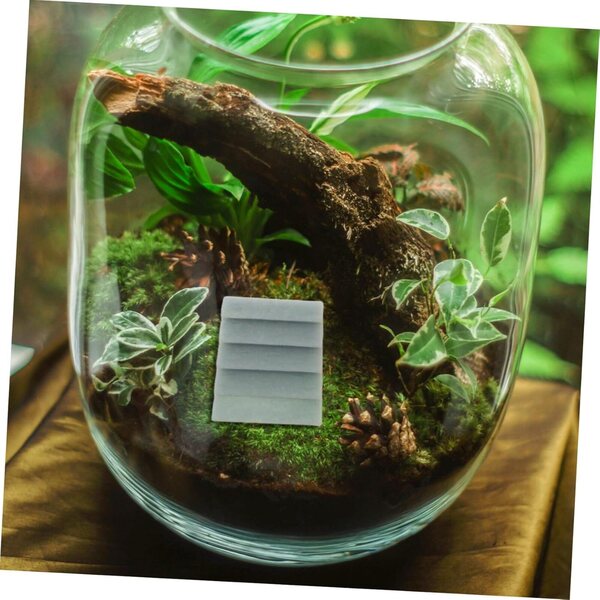 MAGICLULU Miniatur Steinstufen in Kunstharz per Decorazioni e Giardinaggio 24 pezzi