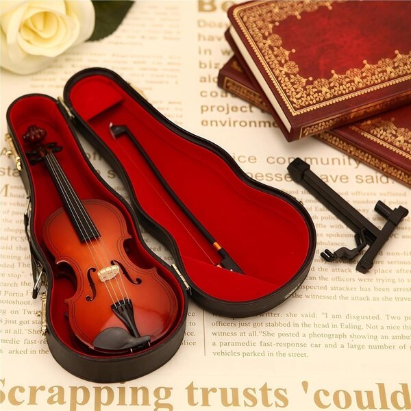 Miniatura violino giocabile con suono e custodia | Decorazione e regalo originale