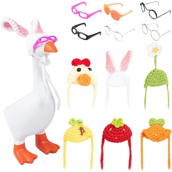 Accessori per oche Dekor: 6 Cappelli a Maglia e Occhiali da Sole per Decorazione Casa