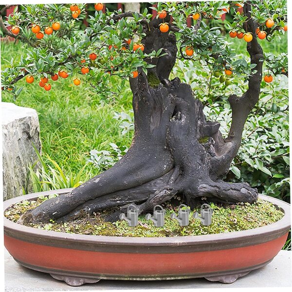 Mini annaffiatoi, set da 4, per decorare il giardino della casa delle bambole e annaffiare le piante in miniatura