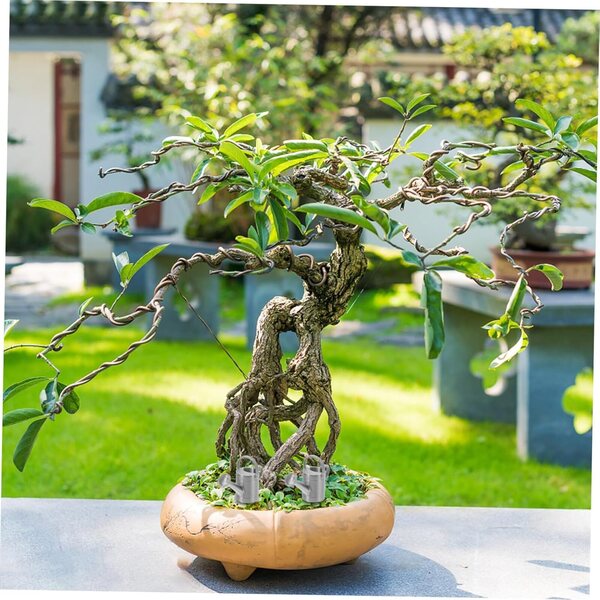 Mini annaffiatoi, set da 4, per decorare il giardino della casa delle bambole e annaffiare le piante in miniatura
