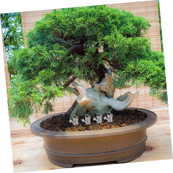 Mini annaffiatoi, set da 4, per decorare il giardino della casa delle bambole e annaffiare le piante in miniatura