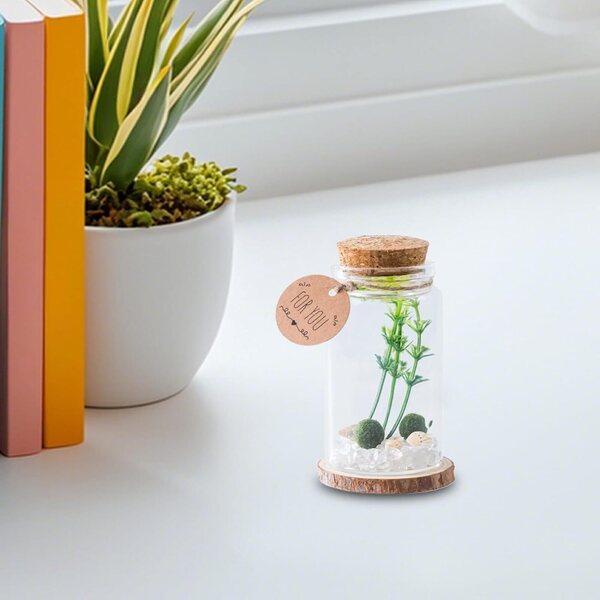 Générique Mini-Flaschen: eleganti bottiglie in vetro con tappo in sughero per arredamento e regalo