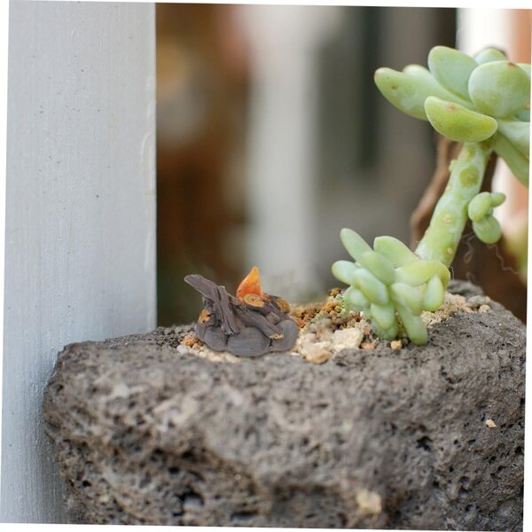 Miniatur Lagerfeuer 6 Stück für Puppenhäuser und realistische Gartendekoration