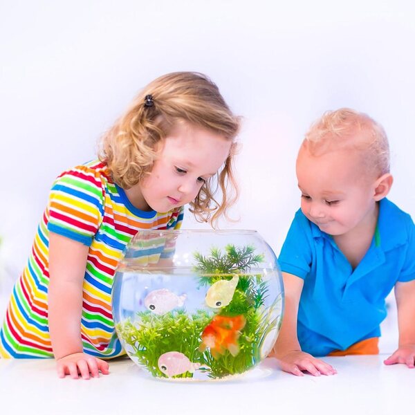 Set 12 Pesci Miniatura in Resina Luminescenti per Decorazione Aquarium e Mini Giardini