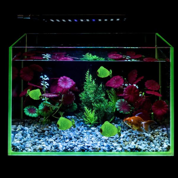 Set 12 Pesci Miniatura in Resina Luminescenti per Decorazione Aquarium e Mini Giardini