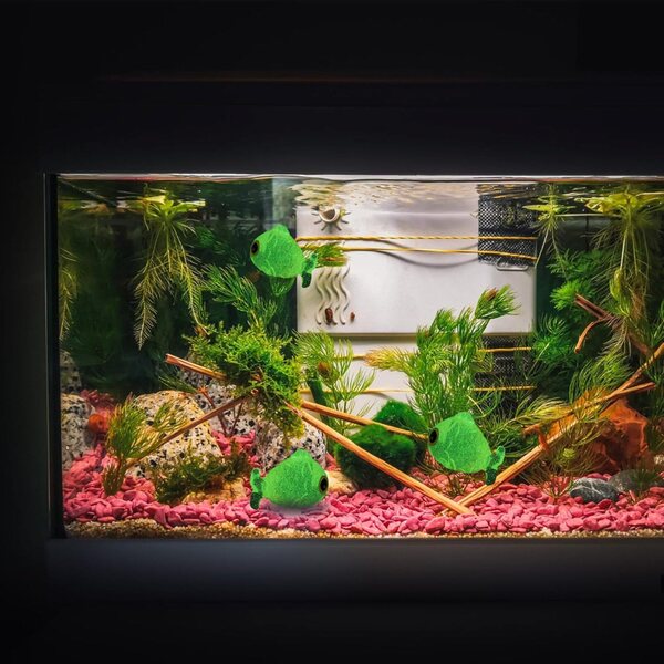 Set 12 Pesci Miniatura in Resina Luminescenti per Decorazione Aquarium e Mini Giardini