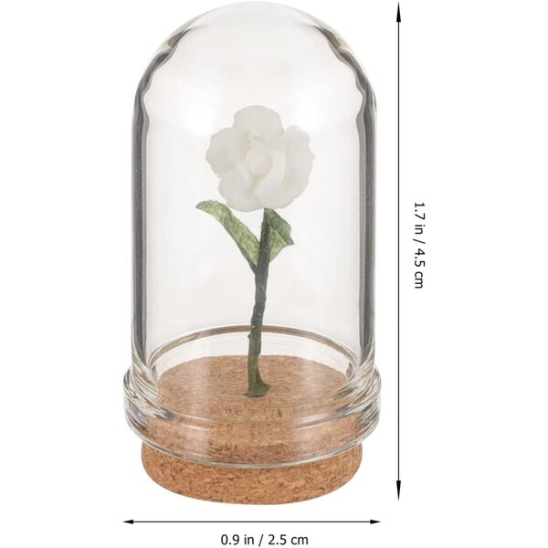 Miniature fiori in cupola vetro bianca 2 pezzi per decorazioni casa delle bambole
