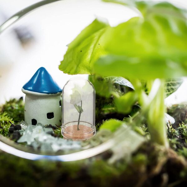 Miniature fiori in cupola vetro bianca 2 pezzi per decorazioni casa delle bambole