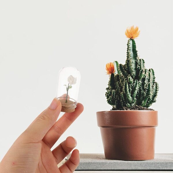 Miniature fiori in cupola vetro bianca 2 pezzi per decorazioni casa delle bambole