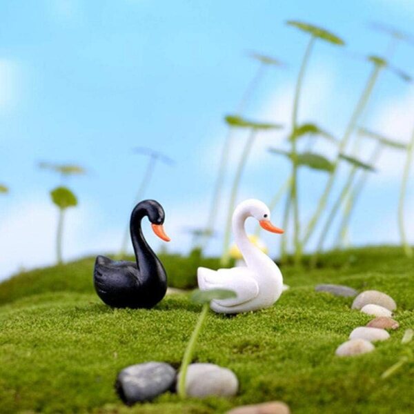 Miniature 2pezzi cigni bianco e nero in resina per giardino fatato e terrarium