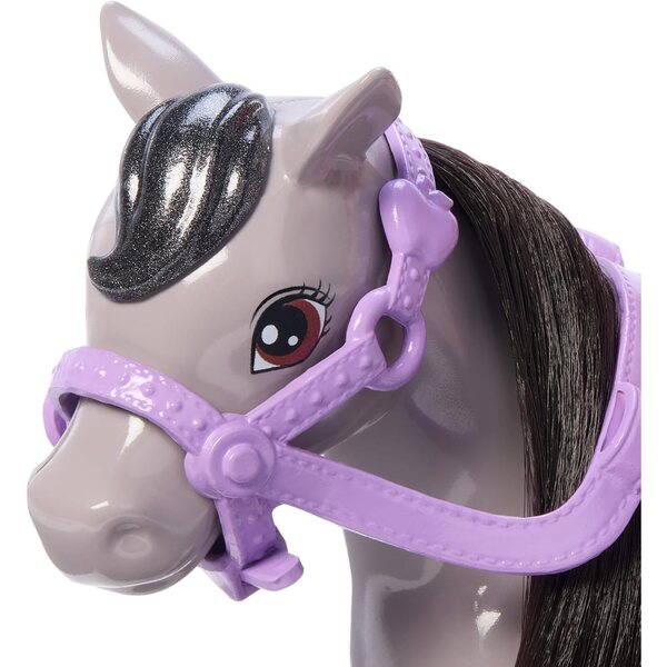 Barbie Chelsea con Pony e Accessori Rosa per Bambini da 3 Anni