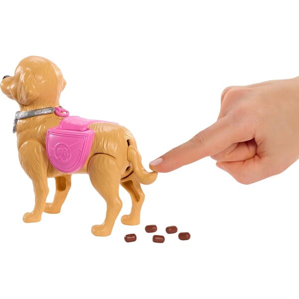 Barbie Beach mit Hundespielzeug, das läuft und beißt, komplettes Zubehörset
