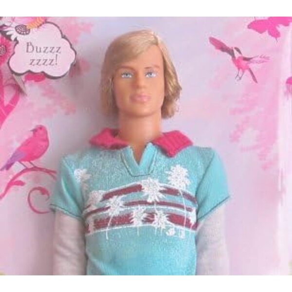 Barbie Family Ken Camping 2008 – Vintage-Sammelpuppe mit Kühler