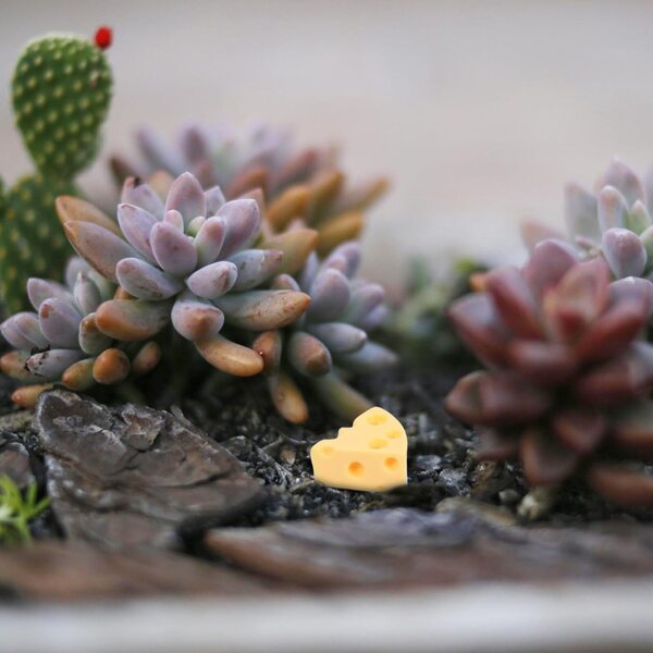 BESPORTBLE Set da 30 Mini Figurine Formaggi in Resina Realistiche per Decorazioni