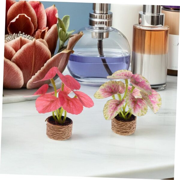 SHINEOFI Set 4 Mini Bonsai Artificiali in Vaso per Decorazioni Indoor Senza Manutenzione