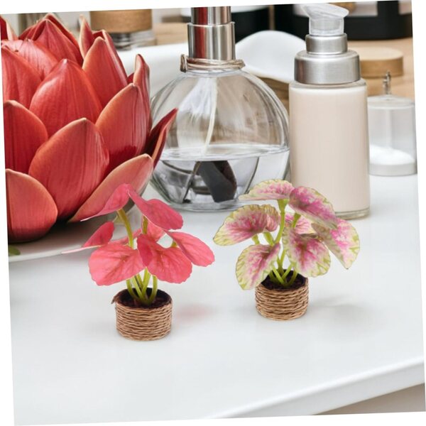 SHINEOFI Set 4 Mini Bonsai Artificiali in Vaso per Decorazioni Indoor Senza Manutenzione