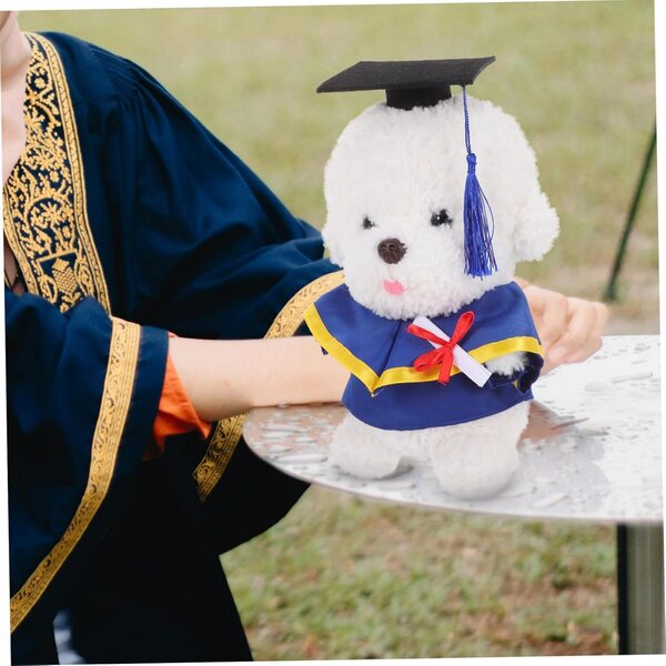 Costume di Remise des Diplôme per Bambole Ours con Cappello e Certificato Miniatura